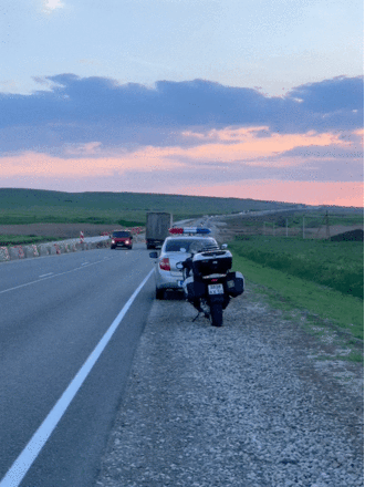 IMG_5280.gif