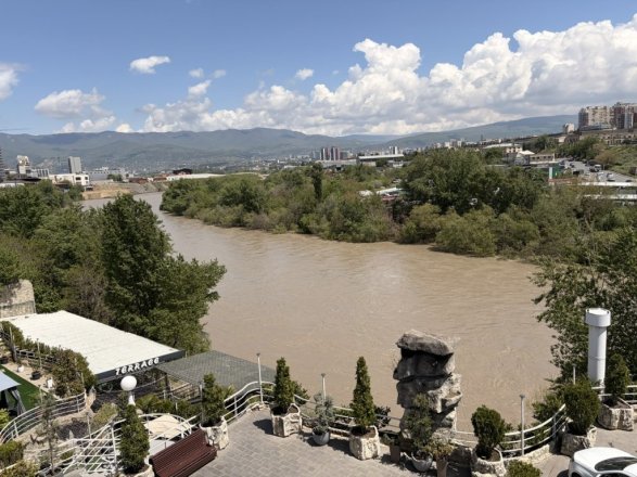 IMG_9795.jpeg