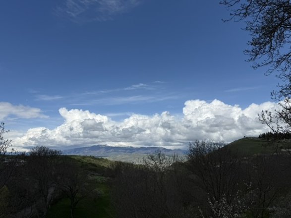IMG_8077.jpeg