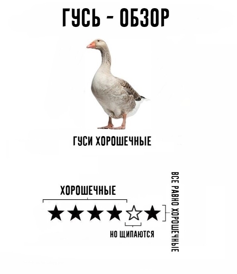 8b644a5ec5d46f20cf3d52bf531ea2af.jpg
