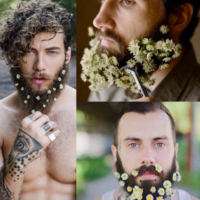 Flower-Beards-2014-messigaround.jpg