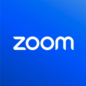 leroymerlin.zoom.us