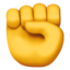 ✊