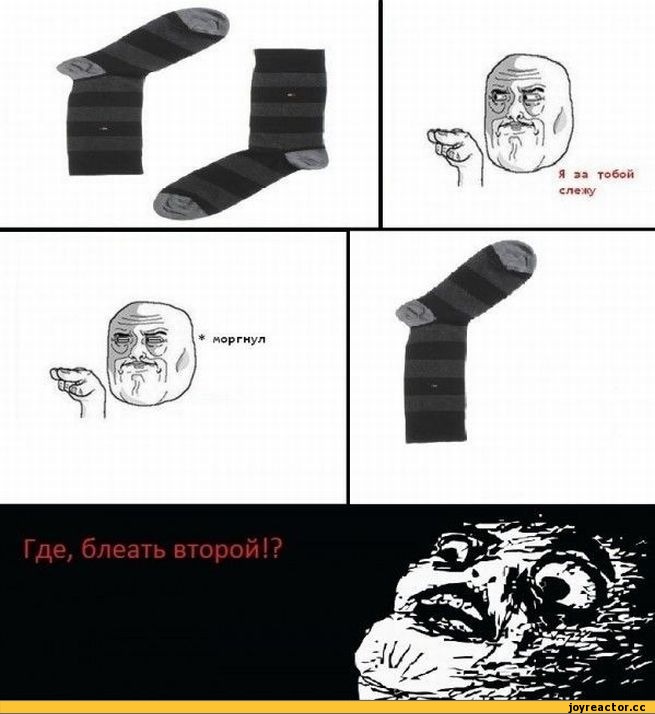 %D0%9A%D0%BE%D0%BC%D0%B8%D0%BA%D1%81%D1%8B-%D0%BD%D0%BE%D1%81%D0%BA%D0%B8-%D0%BA%D0%B0%D0%BA-%D0%B6%D0%B5-%D0%B7%D0%B0%D0%B5%D0%B1%D0%B0%D0%BB%D0%BE%21-oatmeal-712287.jpeg