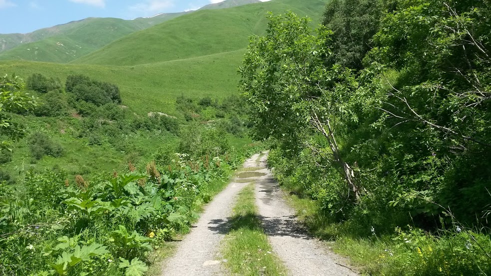 20150705_113042.jpg