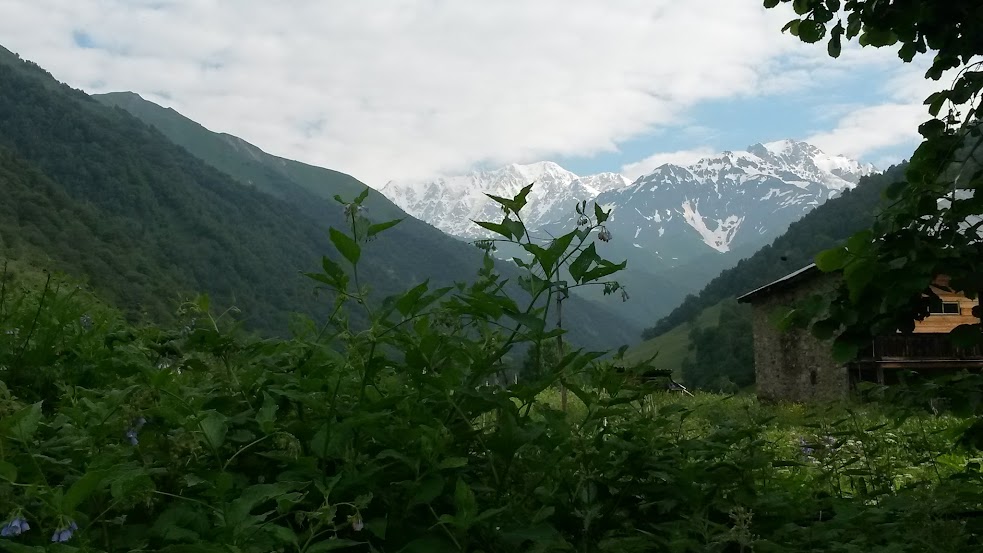 20150705_083443.jpg