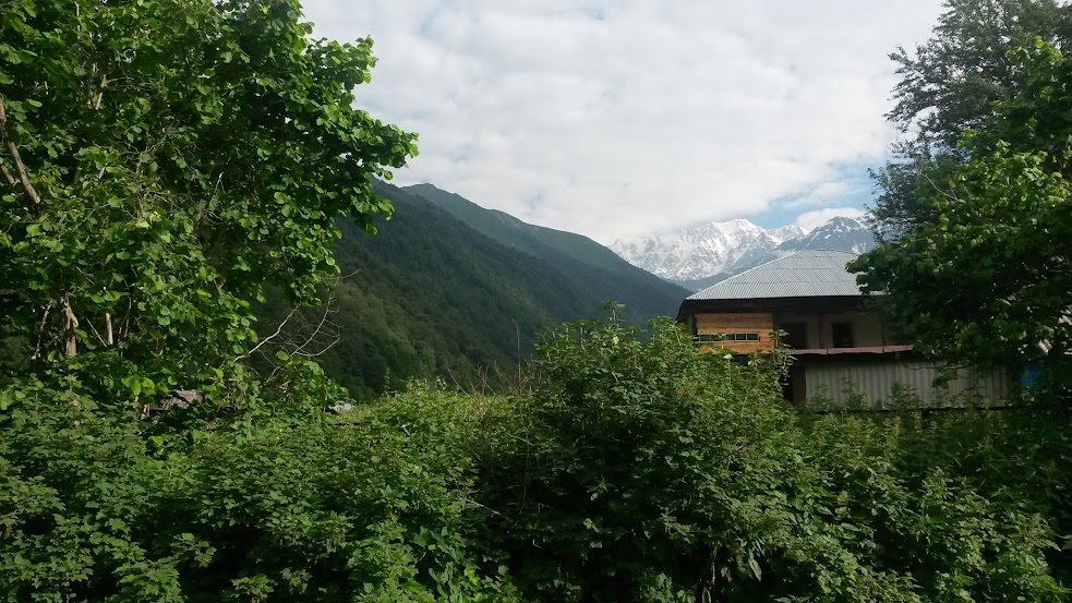 20150705_083349.jpg