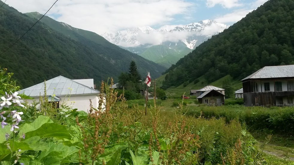 20150705_093335.jpg