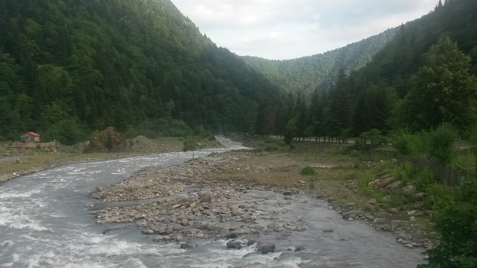 20150704_190353.jpg