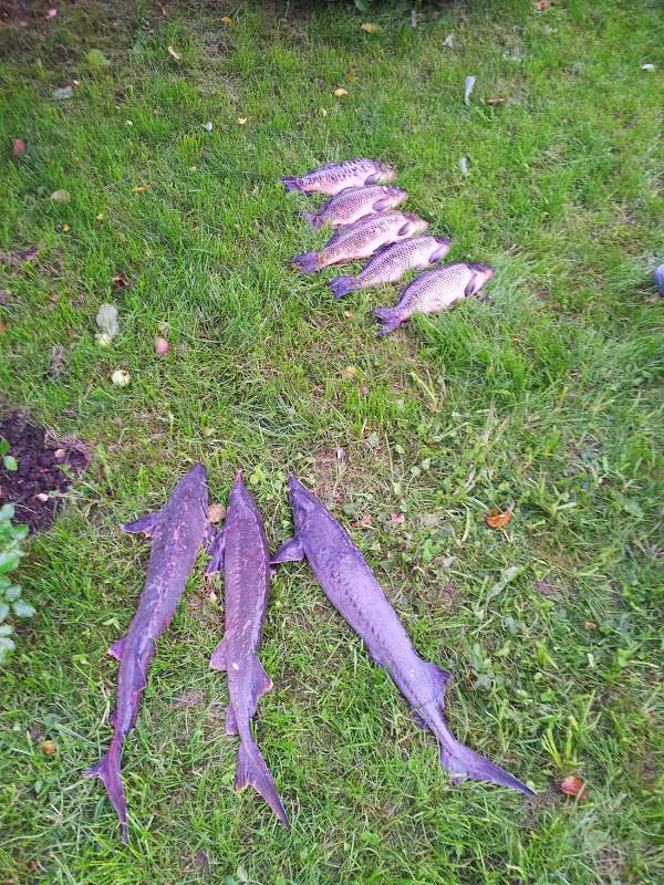 20130728_210921.jpg